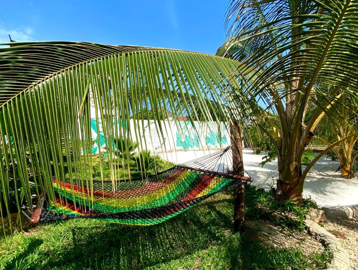 Darwesh Nyumba Lodge Nungwi Exterior photo