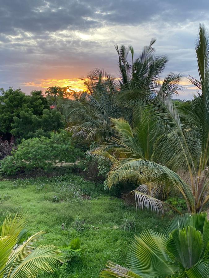 Darwesh Nyumba Lodge Nungwi Exterior photo